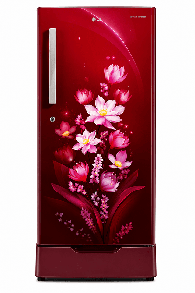 LLOYD 185L 4 STAR DIRECT COOL REFRIGERATOR, GLDS204AOWDI, ORNATE WINE